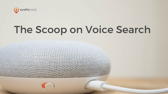 The Scoop on Voice Search