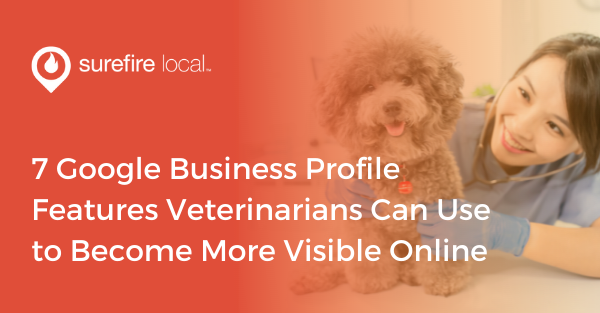 7 Google Business Profile Features Veterinarians Can Use to Become More Visible Online