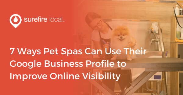 7 Ways Pet Spas Can Use Their Google Business Profile to Improve Online Visibility