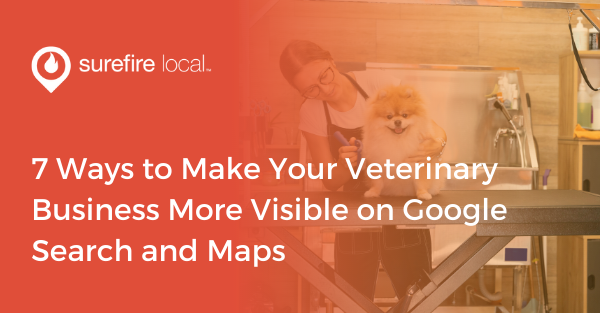 7 Ways to Make Your Veterinary Business More Visible on Google Search and Maps