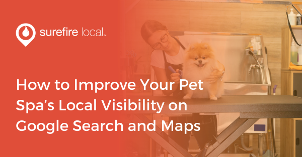 How to Improve Your Pet Spa’s Local Visibility on Google Search and Maps
