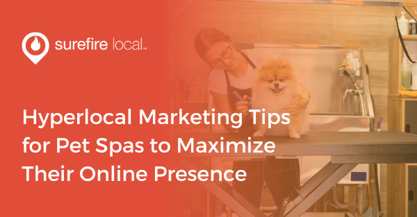 Hyperlocal Marketing Tips for Pet Spas to Maximize Their Online Presence