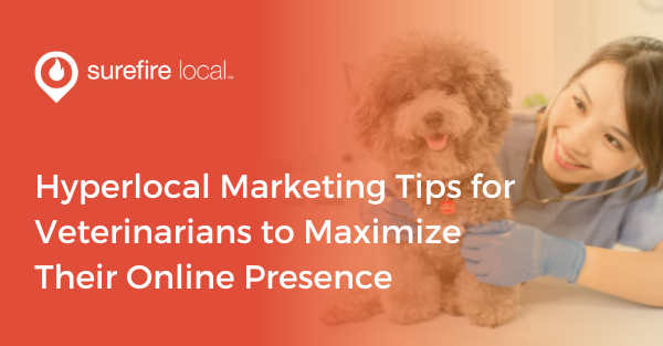 Hyperlocal Marketing Tips for Veterinarians to Maximize Their Online Presence