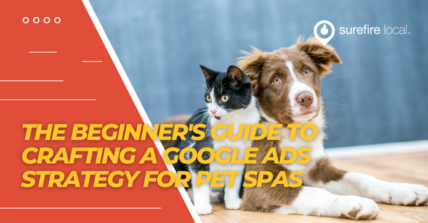 The Beginner's Guide to Crafting a Google Ads Strategy for Pet Spas