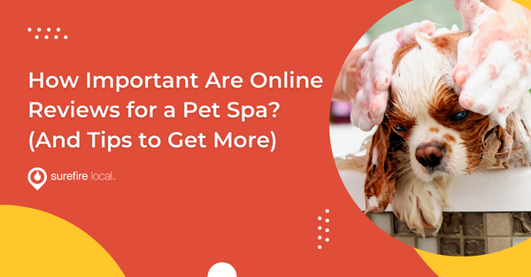 How Important Are Online Reviews for a Pet Spa? (And Tips to Get More)