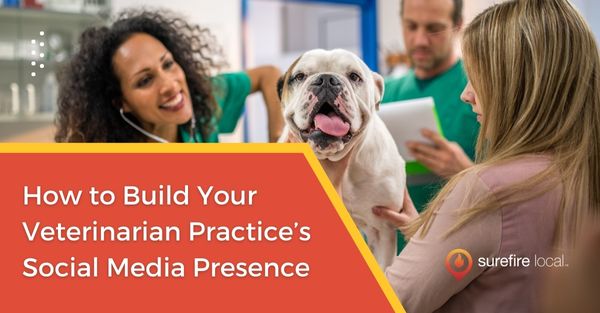 How to Build Your Veterinarian Practice’s Social Media Presence
