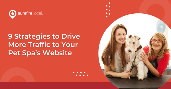 9 Strategies to Drive More Traffic to Your Pet Spa’s Website