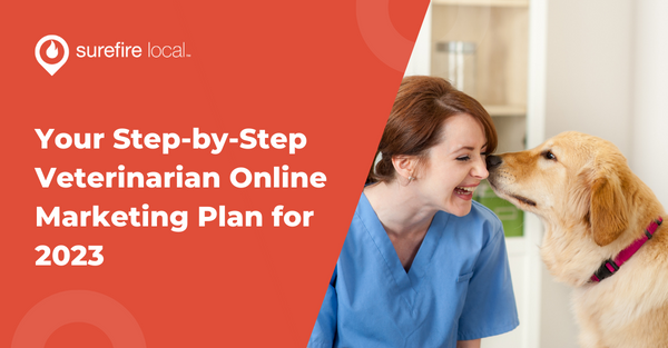 Your Step-by-Step Veterinarian Online Marketing Plan for 2023