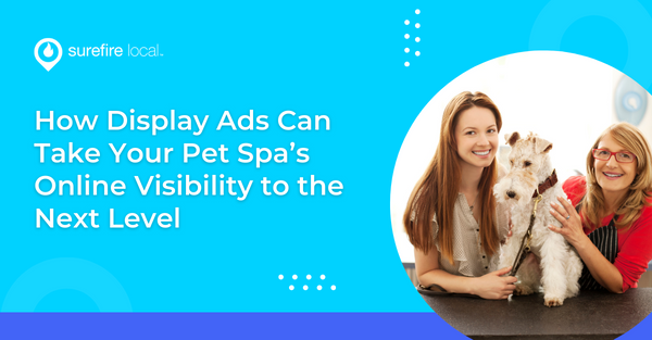 How Display Ads Can Take Your Pet Spa’s Online Visibility to the Next Level