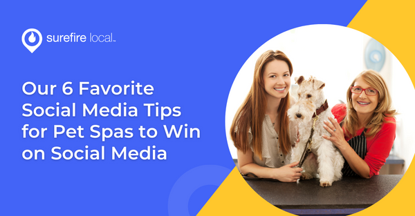 Our 6 Favorite Social Media Tips for Pet Spas to Win on Social Media