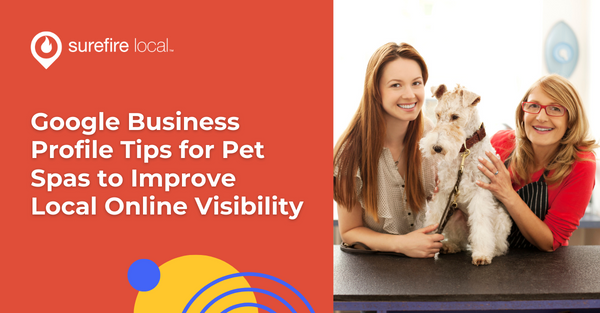 Google Business Profile Tips for Pet Spas to Improve Local Online Visibility
