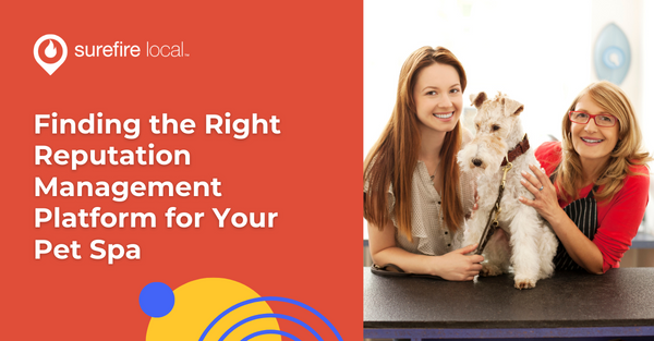 Finding the Right Reputation Management Platform for Your Pet Spa