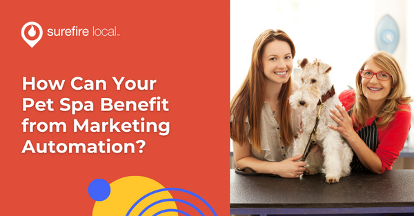 How Can Your Pet Spa Benefit from Marketing Automation?