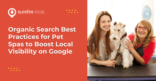 Organic Search Best Practices for Pet Spas to Boost Local Visibility on Google
