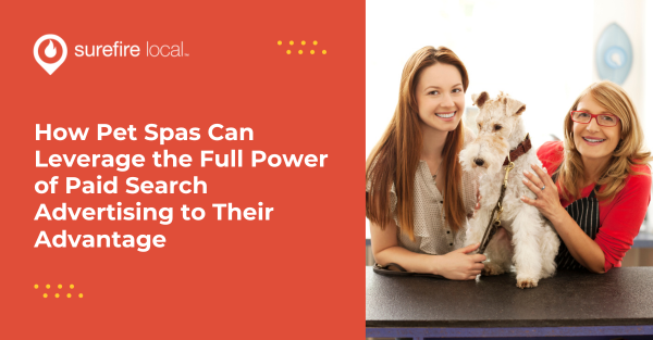 How Pet Spas Can Leverage the Full Power of Paid Search Advertising to Their Advantage