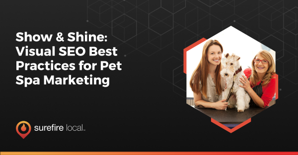 Show & Shine Visual SEO Best Practices for Pet Spa Marketing