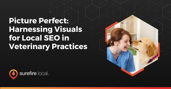 Picture Perfect Harnessing Visuals for Local SEO in Veterinary Practices