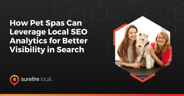 How Pet Spas Can Leverage Local SEO Analytics for Better Visibility in Search