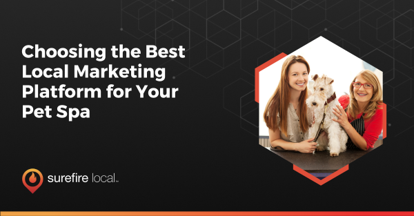 Choosing the Best Local Marketing Platform for Your Pet Spa