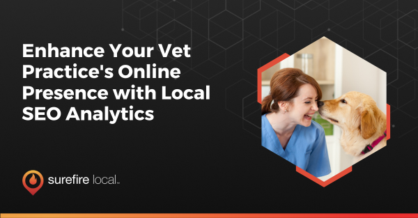 Enhance Your Vet Practice's Online Presence with Local SEO Analytics