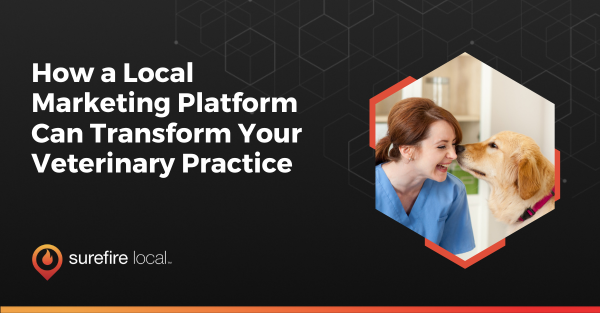 How a Local Marketing Platform Can Transform Your Veterinary Practice