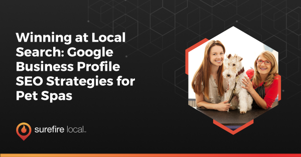 Winning at Local Search Google Business Profile SEO Strategies for Pet Spas